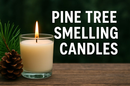 9 Amazing Pine Tree Smelling Candles to Try in 2026 - The Roosevelts Candle Co.