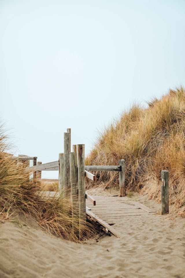 Coastal - The Roosevelts Candle Co.
