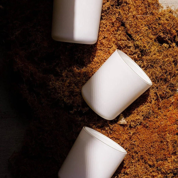 National Park Inspired Candles - The Roosevelts Candle Co.