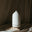 The Roosevelts Candle Co. logo