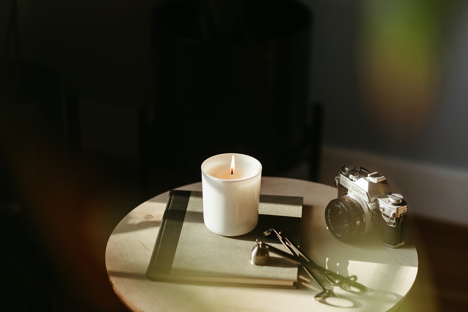 Denali Candle - Teak, Leather, Cedarwood & Palo Santo - The Roosevelts Candle Co.